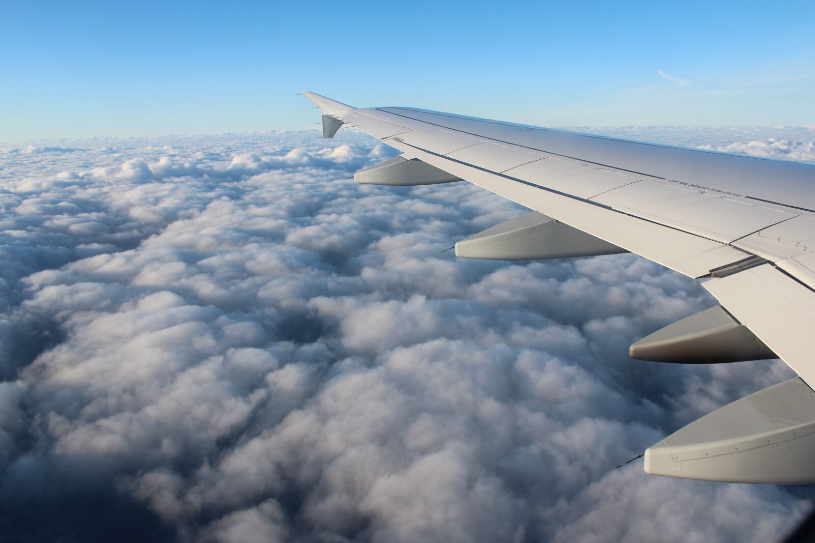 Canon EOS 600D (Rebel EOS T3i / EOS Kiss X5) sample photo. Aircraft, wing, flying photography