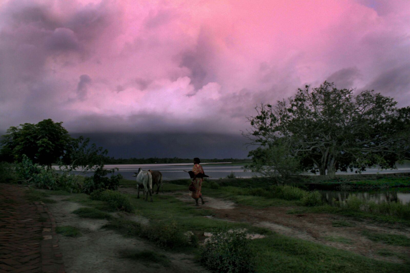 Canon EOS 500D (EOS Rebel T1i / EOS Kiss X3) sample photo. Bangladesh, canal, fish, fisherman photography