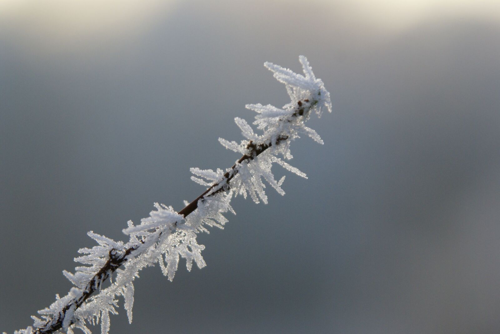 Sony Alpha DSLR-A100 sample photo. Winter, landscape, ice photography