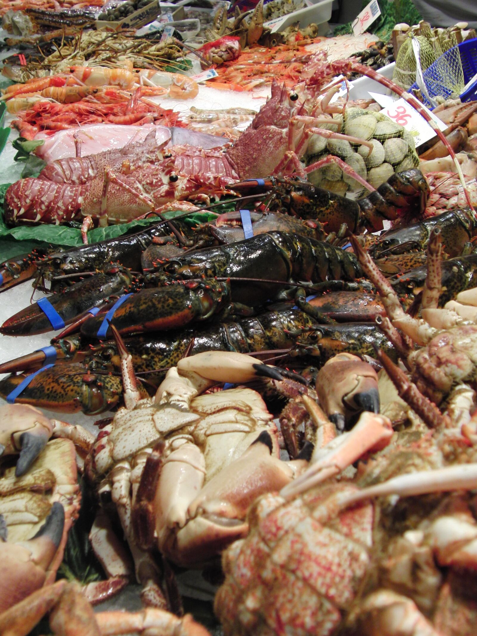 CASIO EX-FH20 sample photo. Lobster, crab, seafood photography