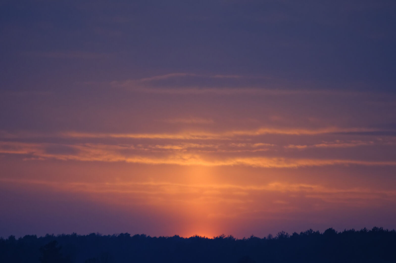 Nikon D3200 sample photo. Sunset photography