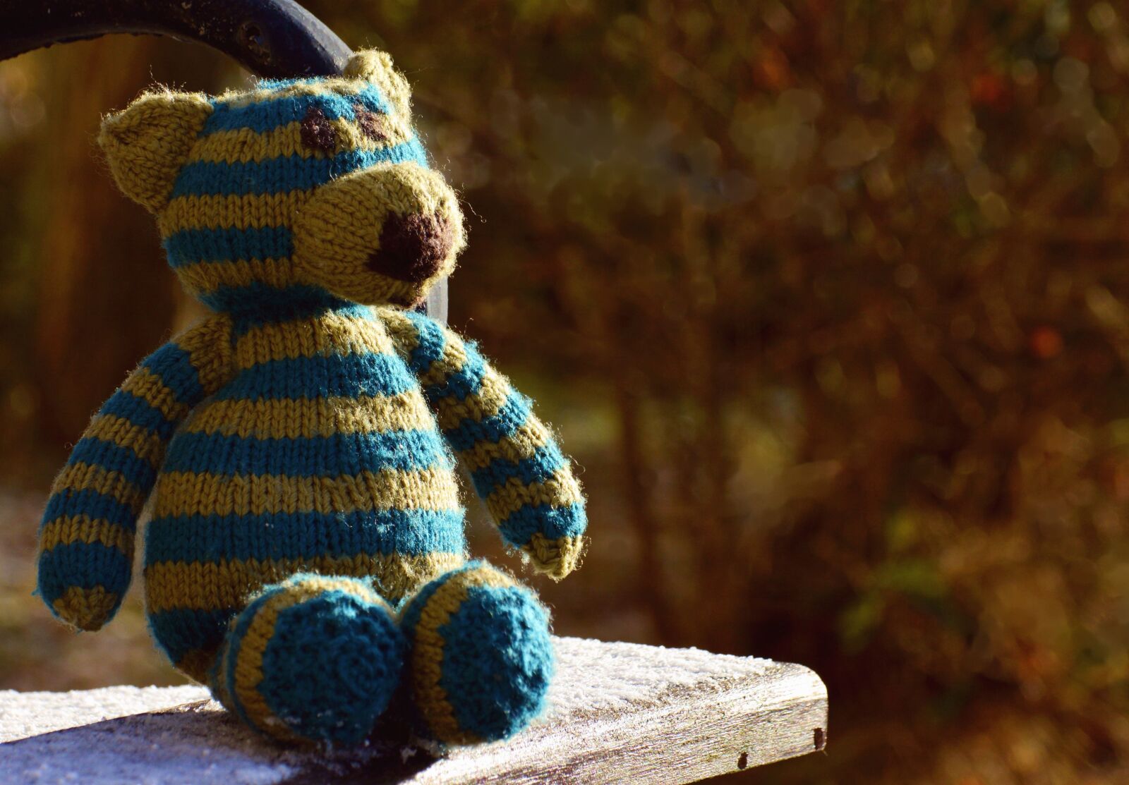 Nikon D5200 sample photo. Teddy bear, wool, toy photography