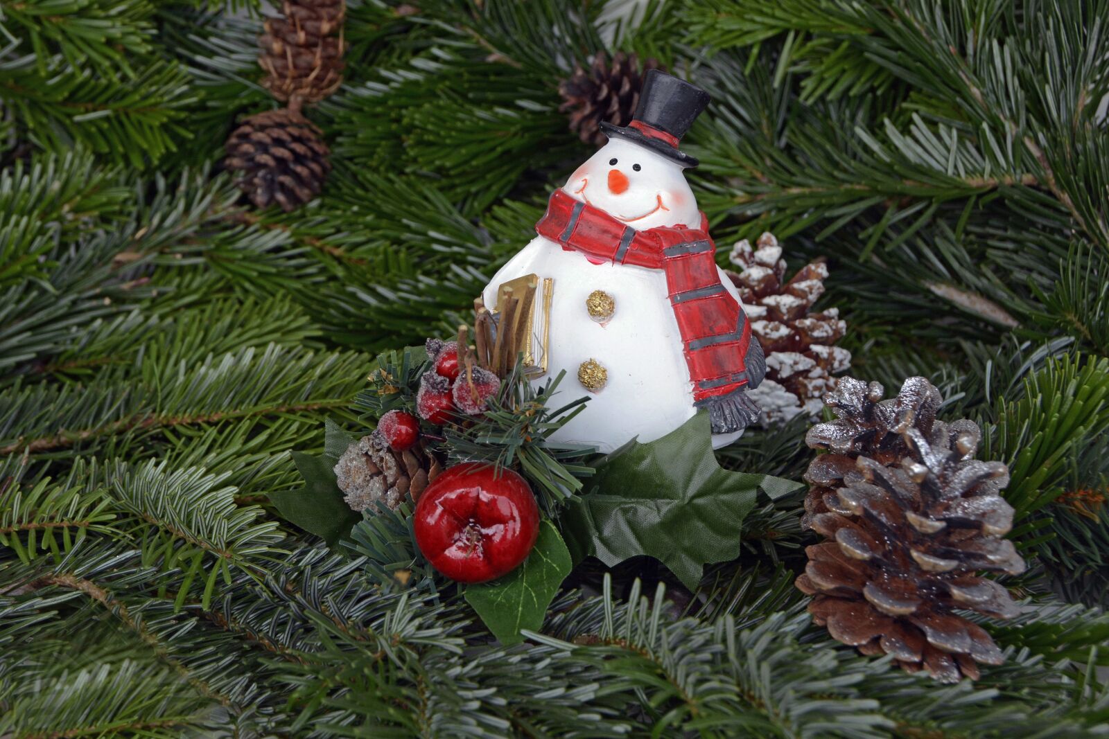 Nikon D7100 sample photo. Snowman, christmas, pine cones photography