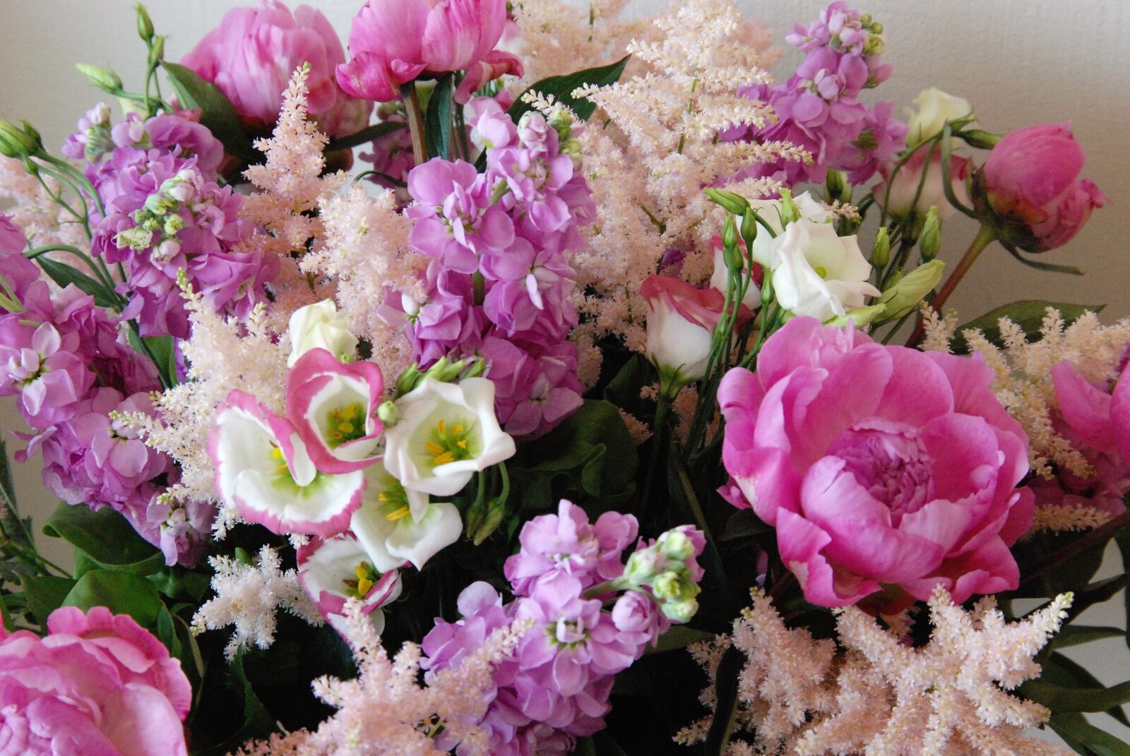 Nikon D80 sample photo. Bouquet, flower, pink photography