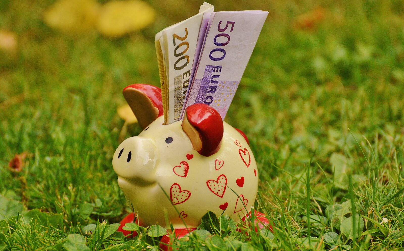 Nikon D3200 sample photo. Piggy bank, money, dollar photography