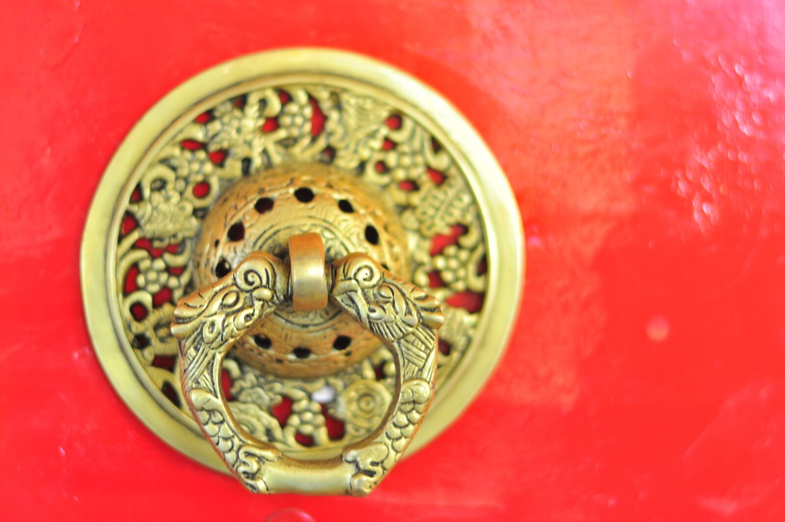 Nikon D5000 sample photo. Tibet, door handle, monastery photography