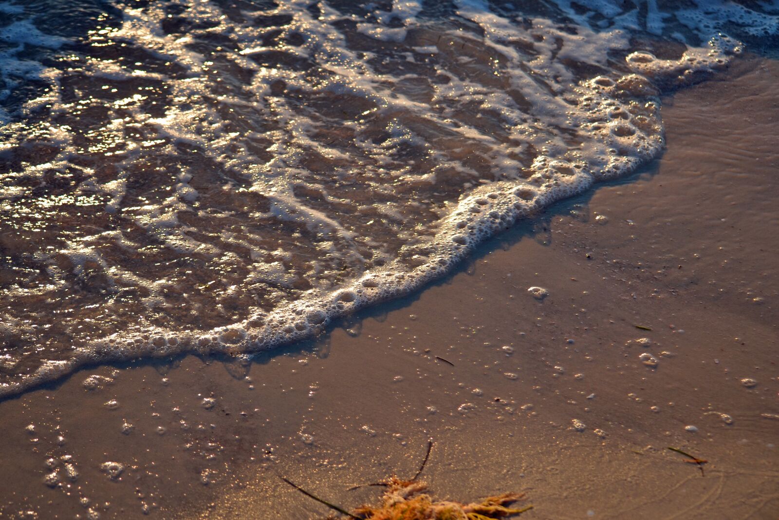 Nikon D3100 sample photo. Ocean, wave, shore photography