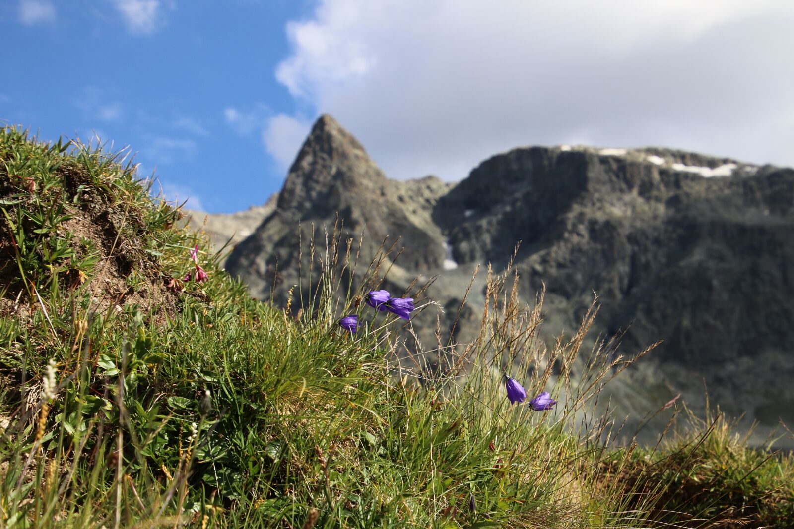 Canon EOS 80D sample photo. Tops, meadow, tour photography