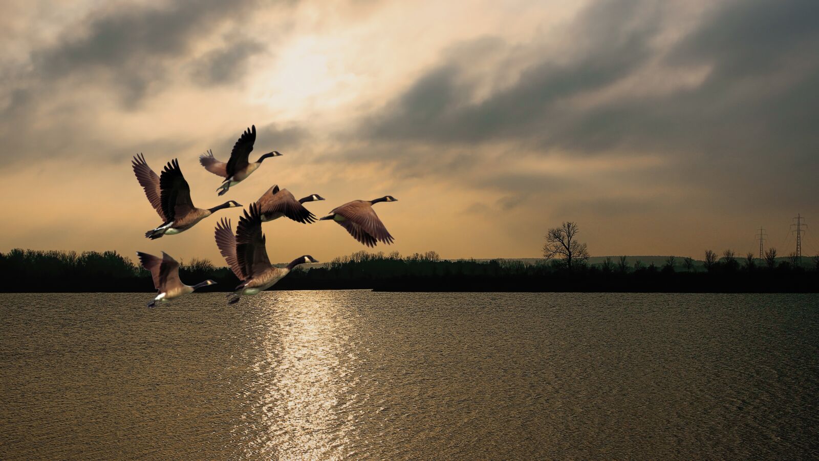 Canon EOS 600D (Rebel EOS T3i / EOS Kiss X5) sample photo. Twilight, sunrise, lake photography
