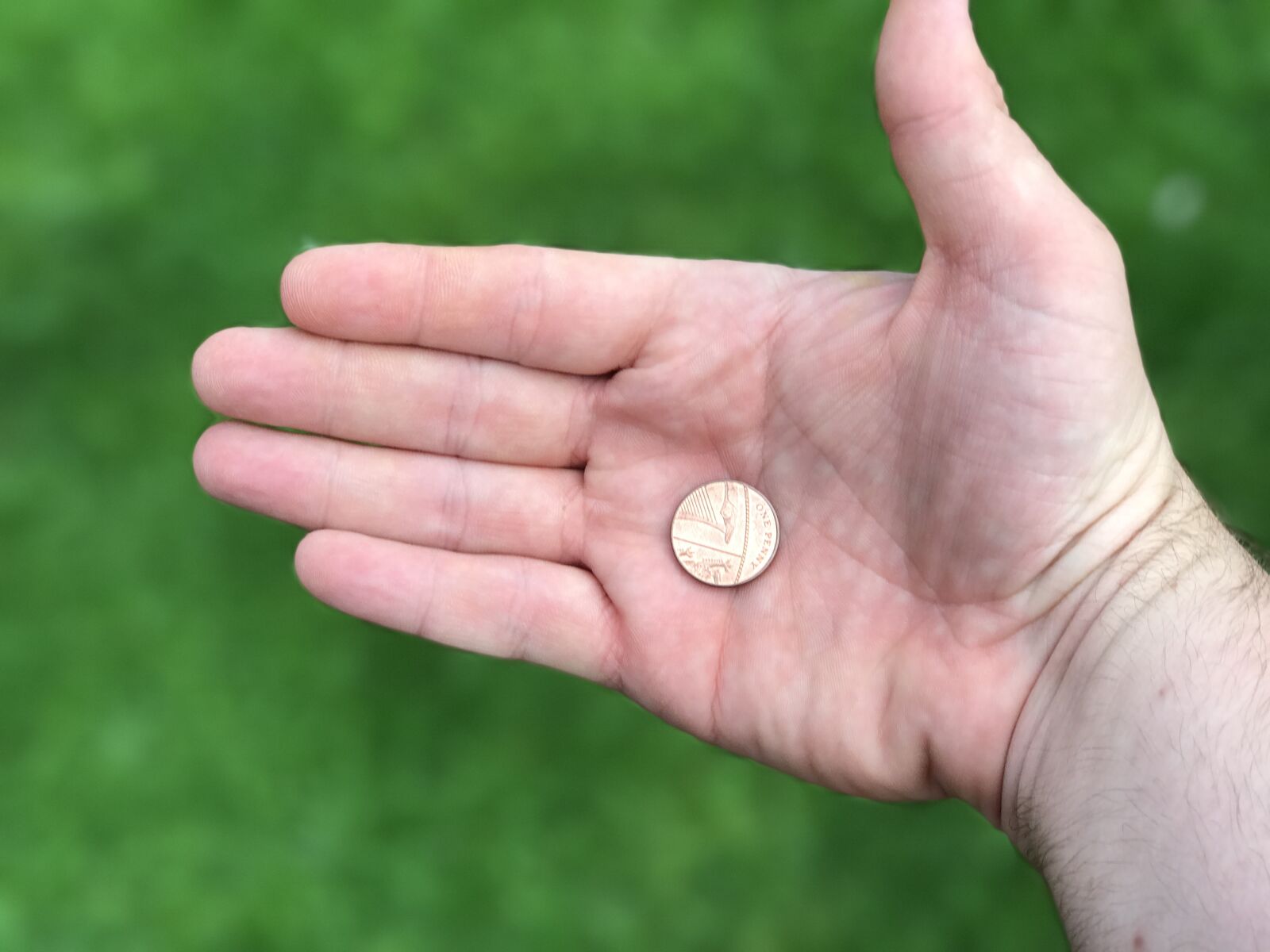 iPhone 7 Plus back dual camera 6.6mm f/2.8 sample photo. Coin, hand, green photography