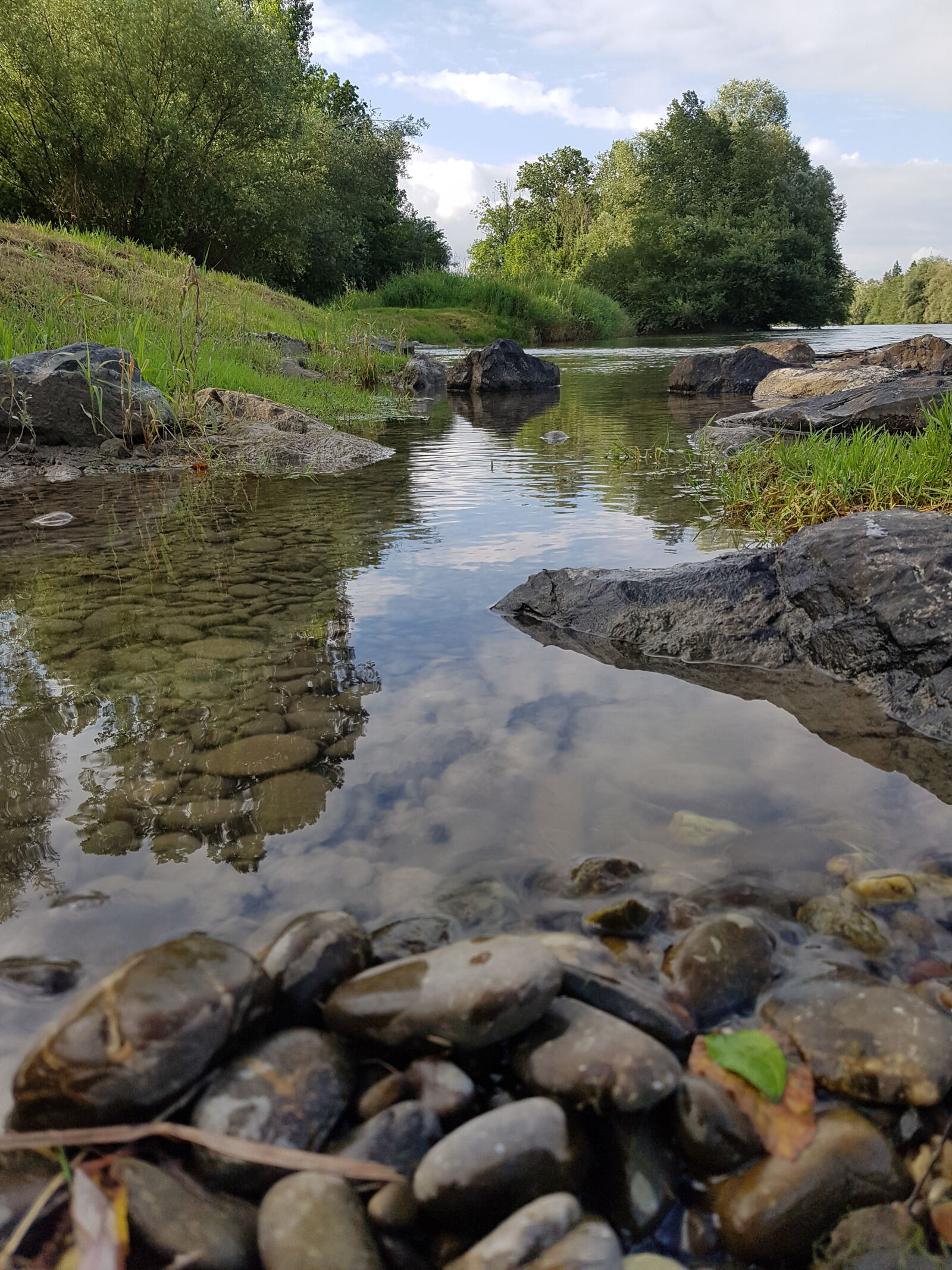 Samsung Galaxy S7 Edge sample photo. River, rock, shore, tree photography