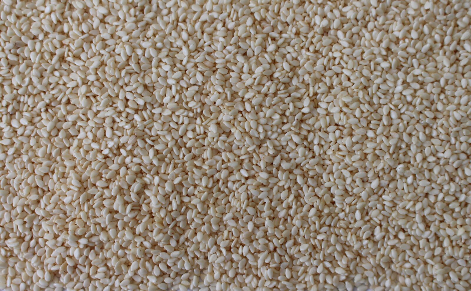 Canon EOS 700D (EOS Rebel T5i / EOS Kiss X7i) sample photo. Sesame, sesame korner, sesame photography
