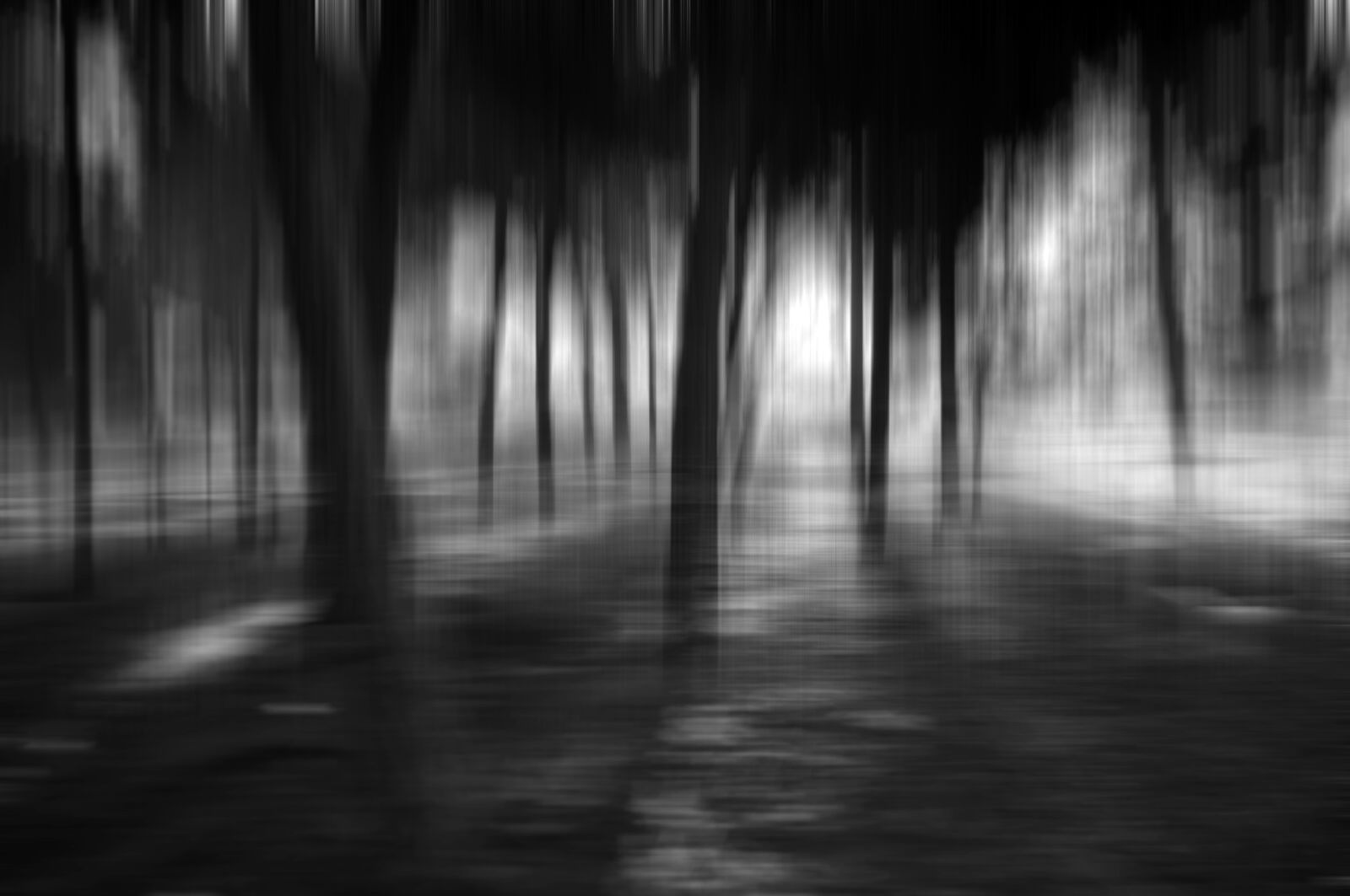 Nikon D5000 sample photo. Abstract, motion blur, black photography