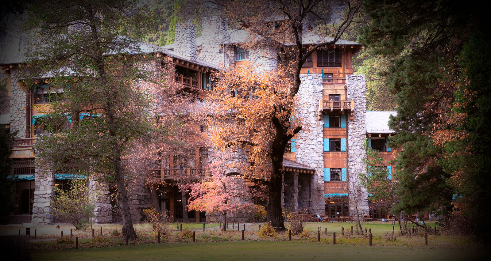 Sony Alpha NEX-3N sample photo. Ahwahnee, fall, forest, forest photography