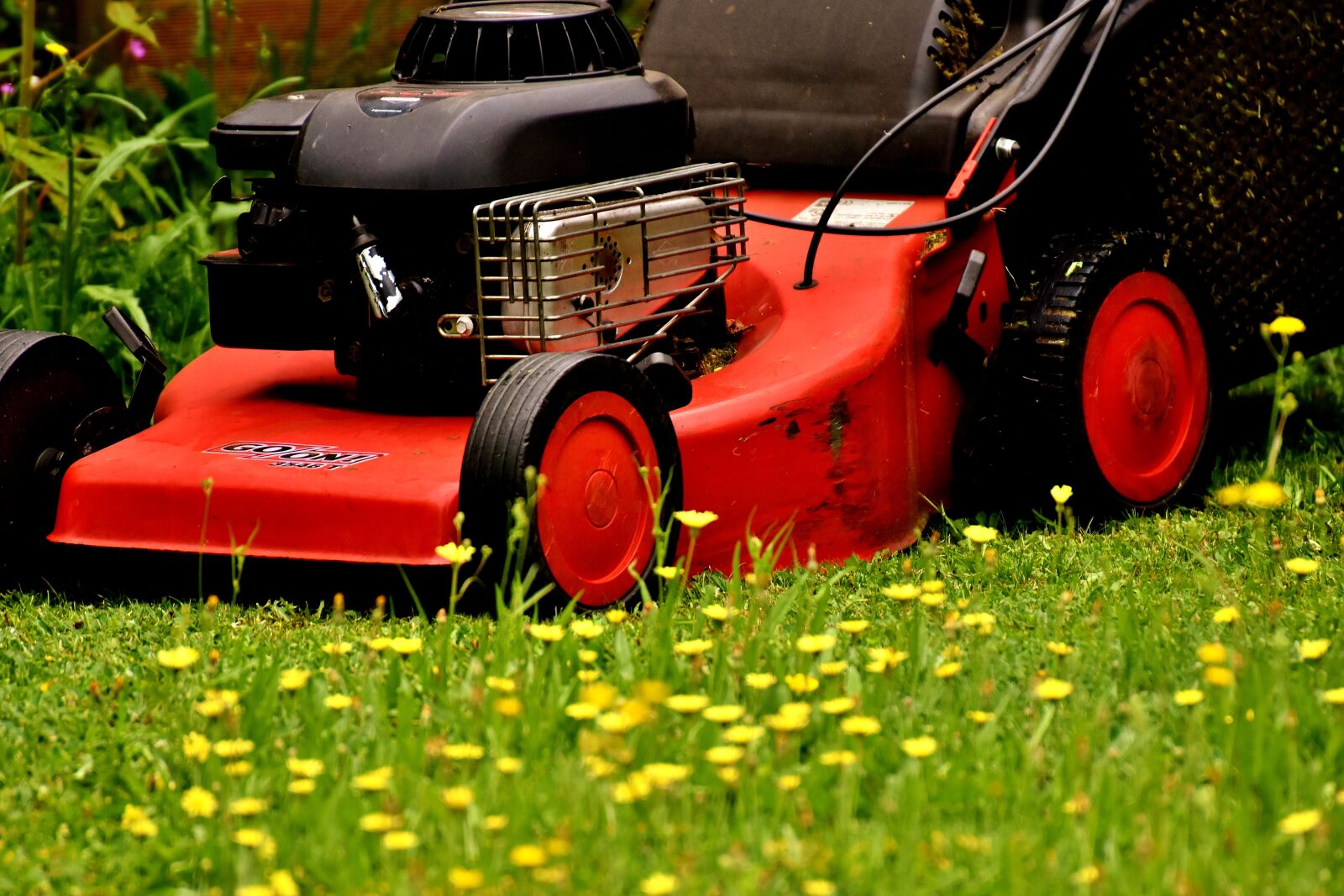 Nikon D7200 sample photo. Lawn mower, mow, lawn photography