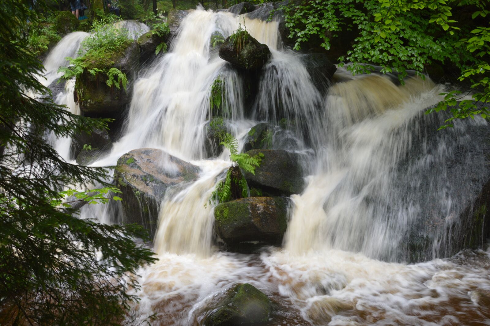 Nikon D3200 sample photo. Waterfalls, forest, nature photography