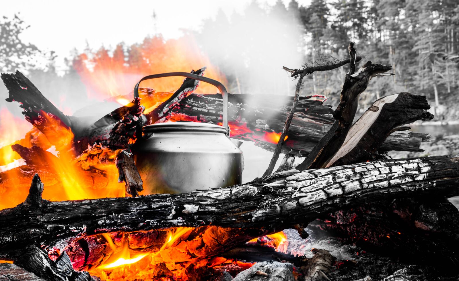 Canon EOS 6D + Canon EF 24-105mm F4L IS USM sample photo. Fire, camp, nature photography