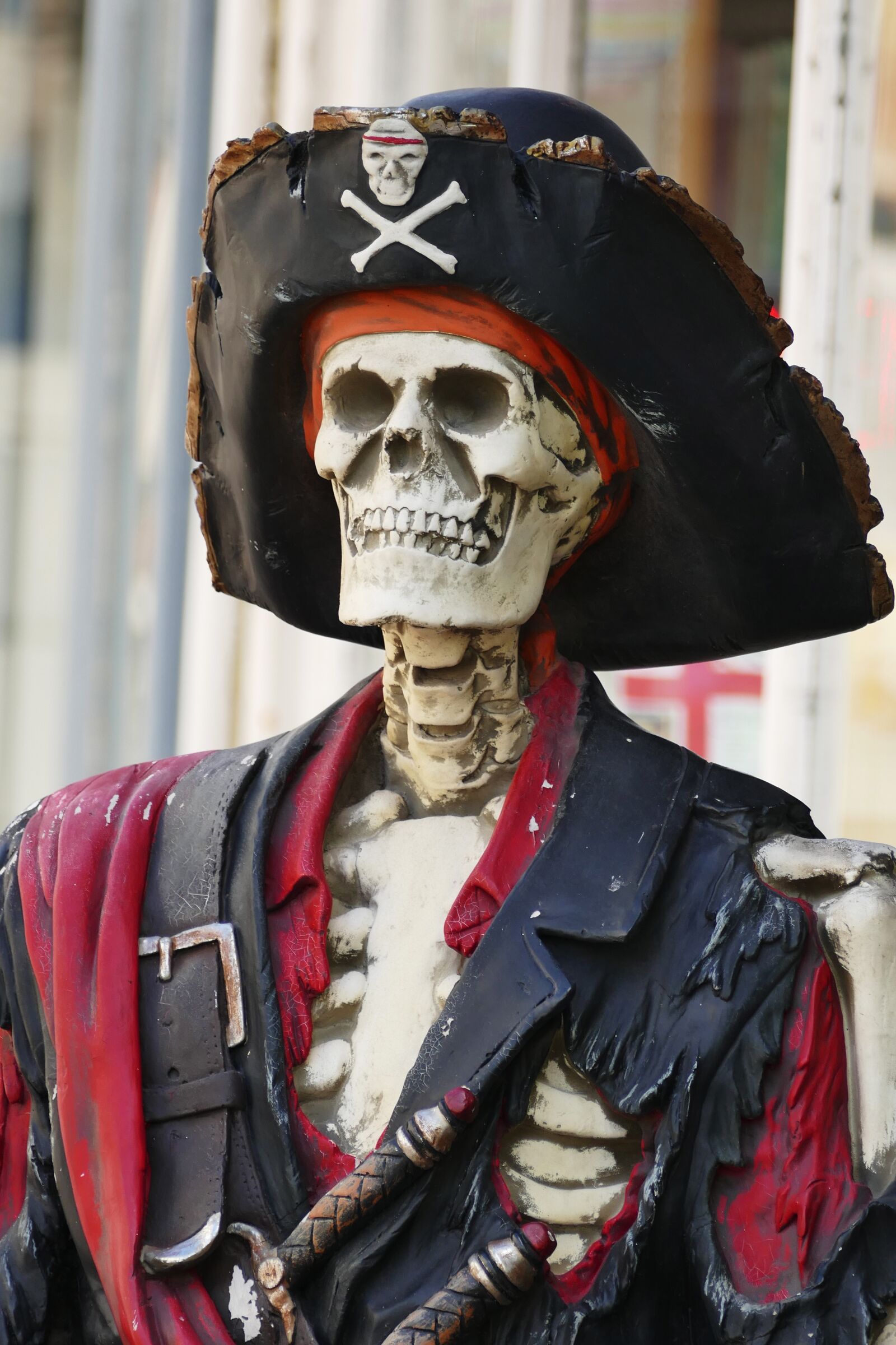 Panasonic Lumix DMC-FZ1000 sample photo. Skeleton, pirate, skull photography