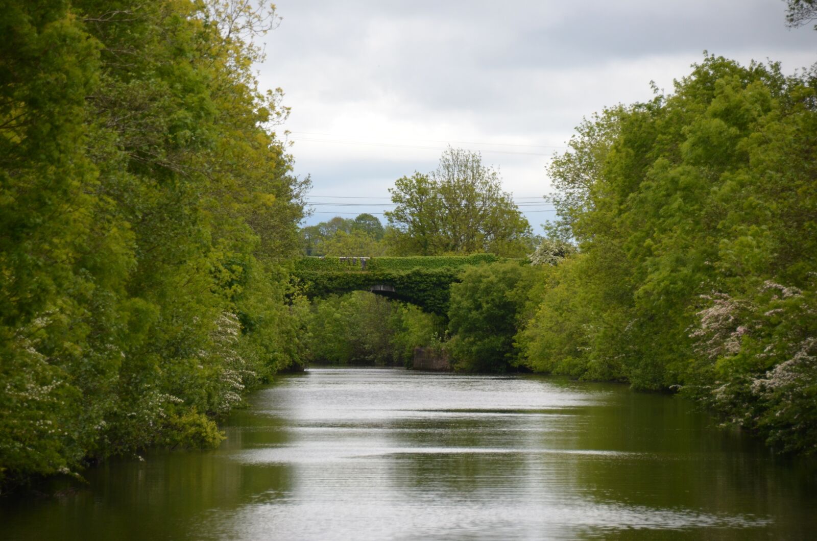 Nikon D5100 sample photo. Shannon, ireland, houseboat photography