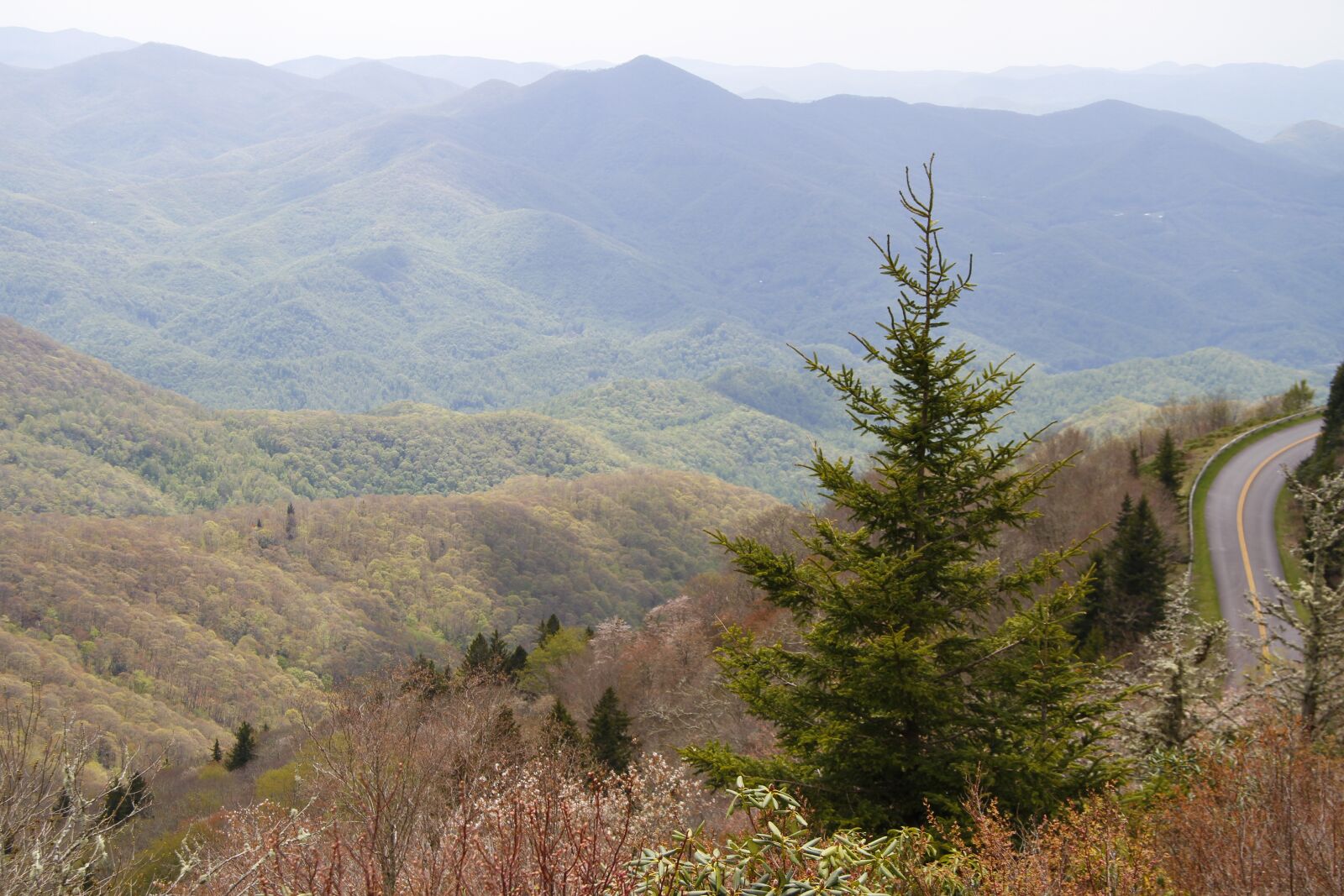Canon EOS 7D sample photo. Mountain, road, tree photography