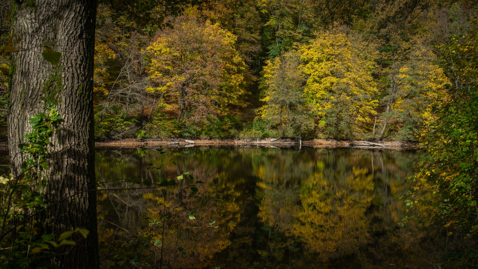Samyang AF 35mm F1.8 FE sample photo. “autumn’s great mirror” photography
