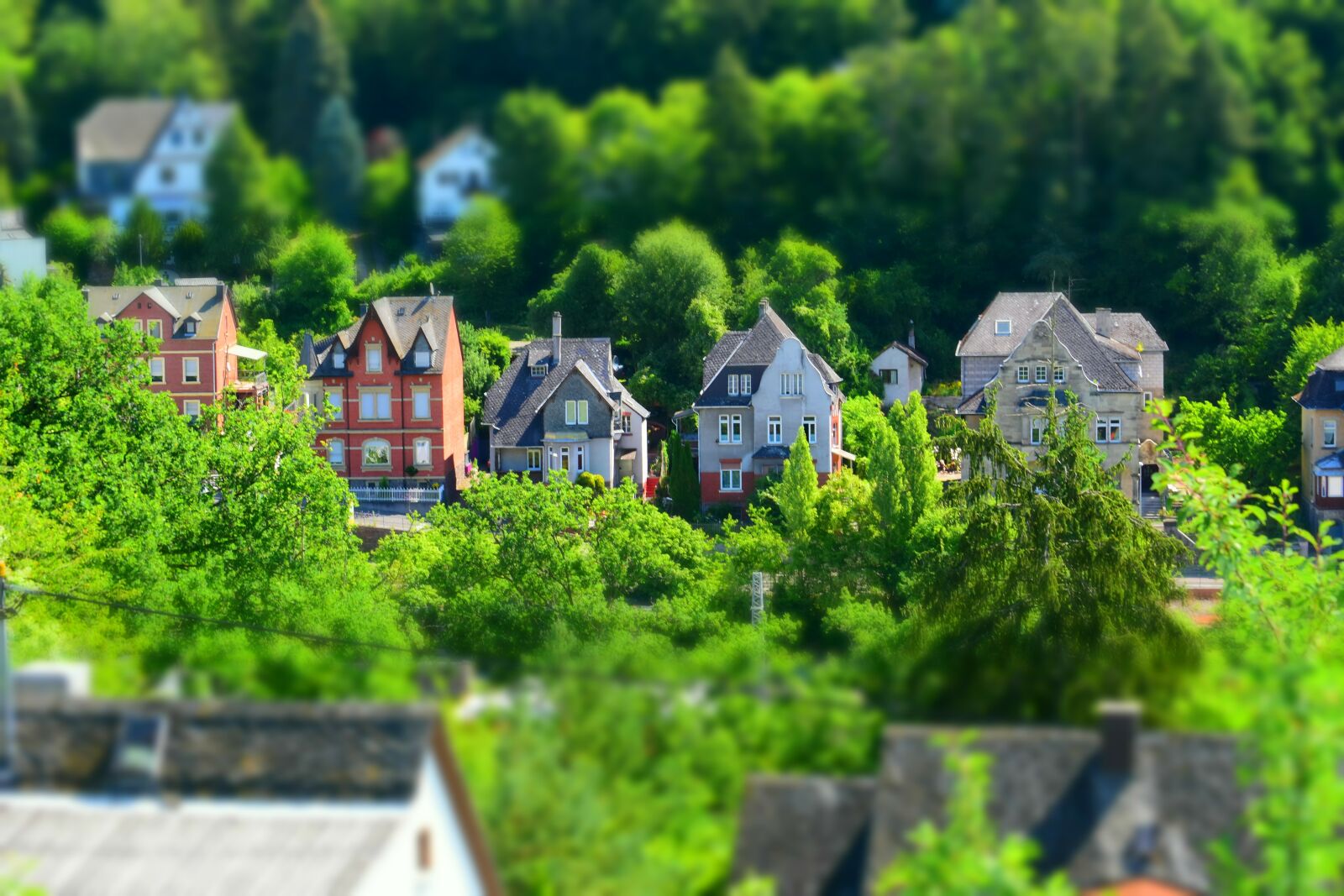 Nikon D5500 sample photo. Miniature, house, forest photography
