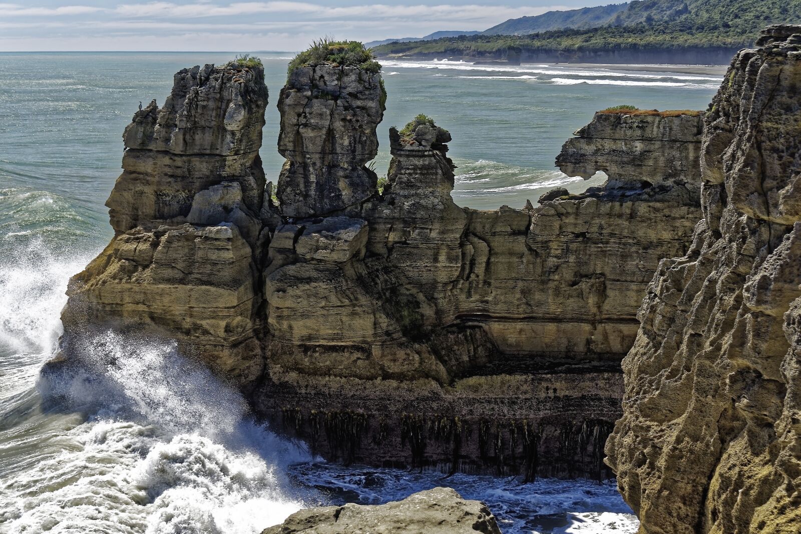 Nikon D500 sample photo. New zealand, south island photography