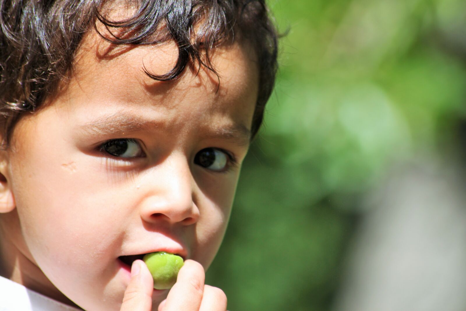Canon EOS 500D (EOS Rebel T1i / EOS Kiss X3) sample photo. Kid, boy, eating photography