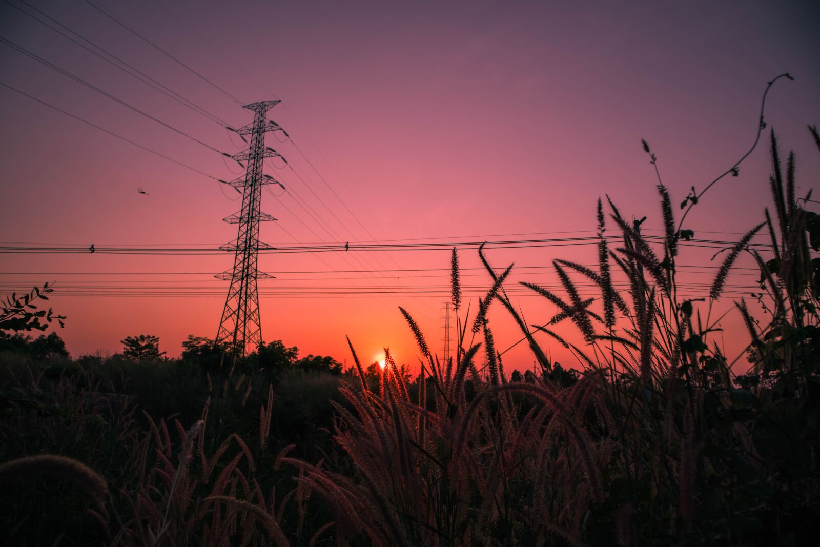 Canon EOS M50 (EOS Kiss M) sample photo. Sunset, meadow, background photography