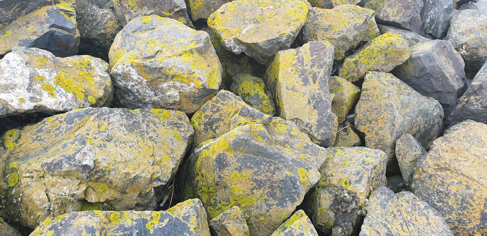 Samsung Galaxy S9 sample photo. Rocks, stones, beach photography