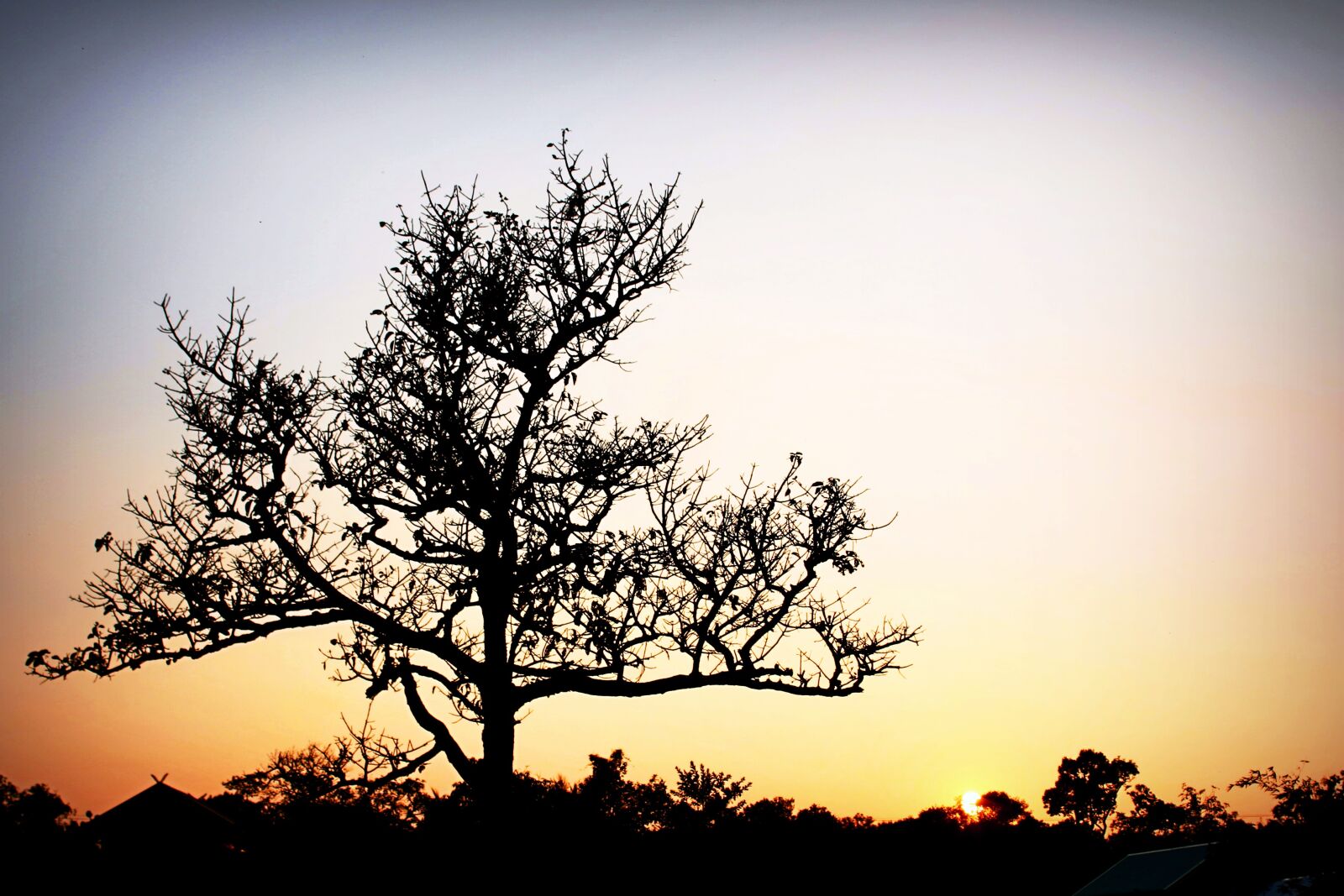 Canon EOS 650D (EOS Rebel T4i / EOS Kiss X6i) sample photo. Afterglow, backlit, beautiful, clear photography