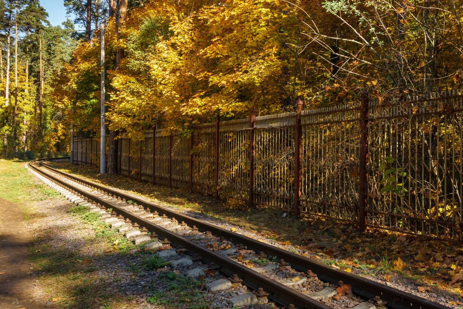 Sony a6300 sample photo. Narrow gauge railroad, autumn photography