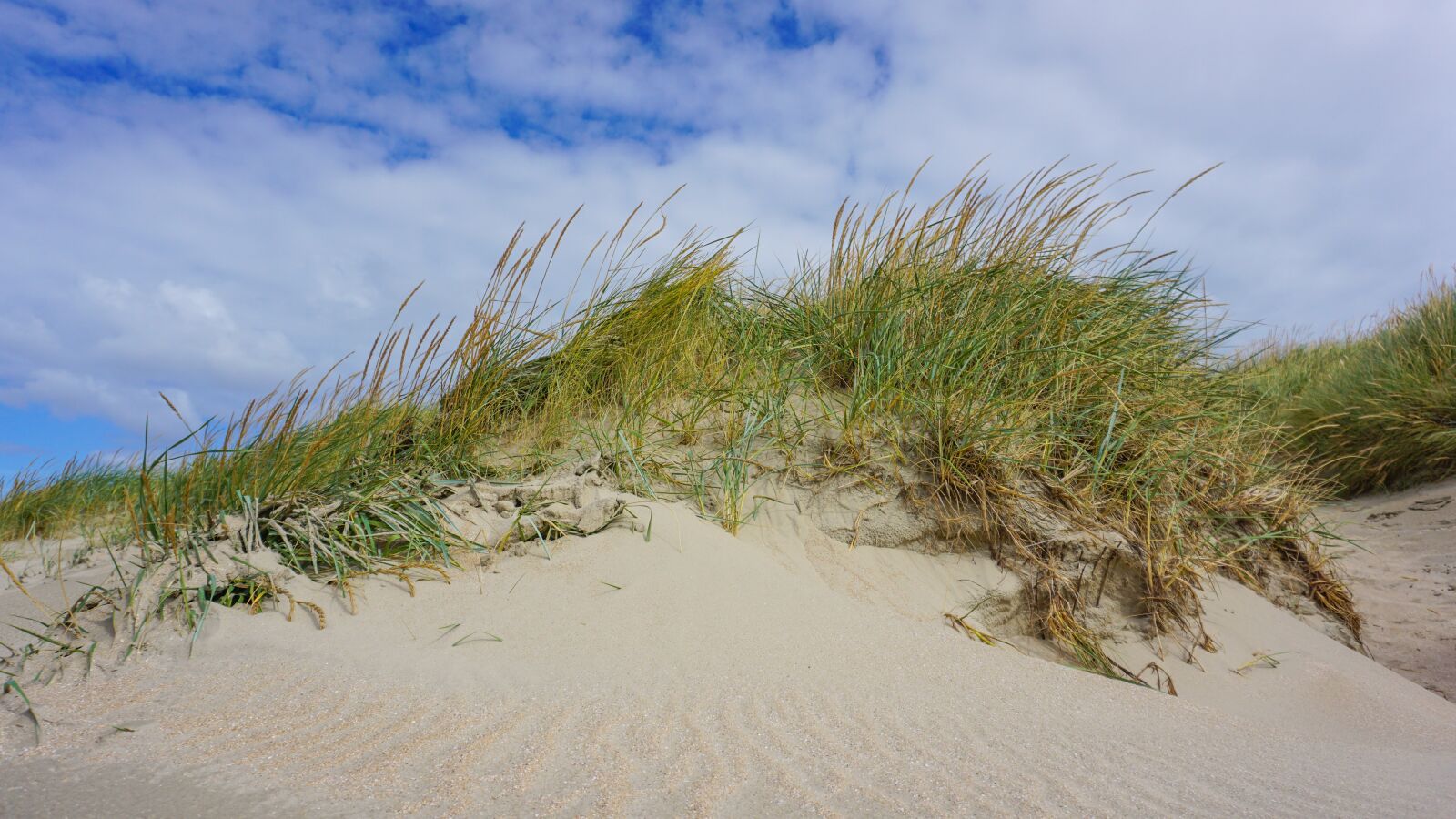 Sony a6000 sample photo. Beach, denmark, water photography