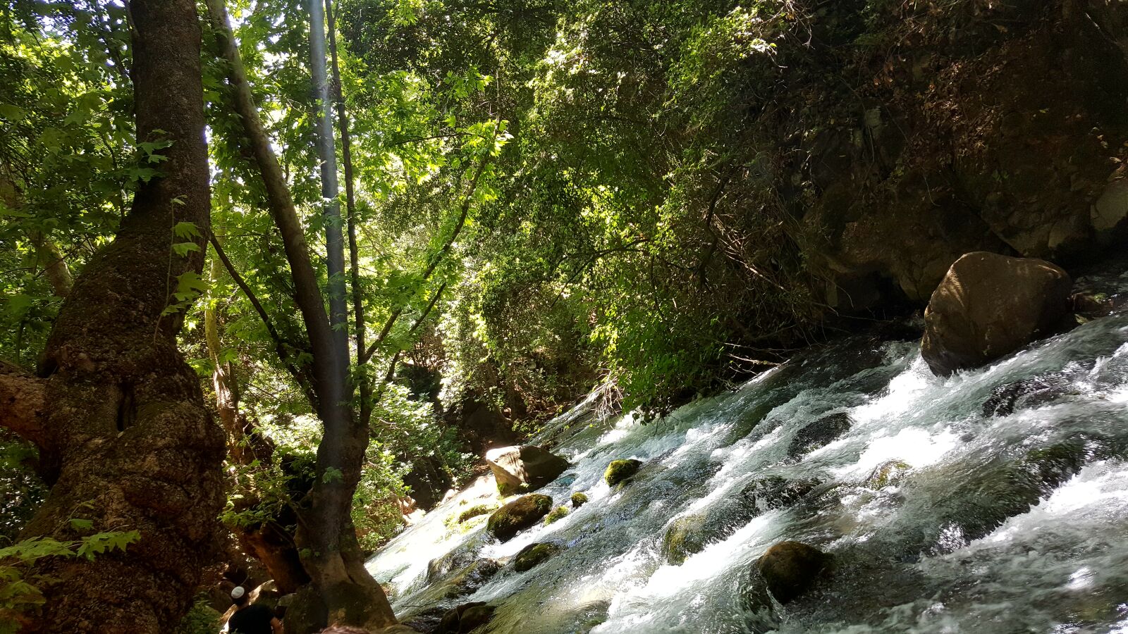 Samsung Galaxy Note5 sample photo. Nature photography