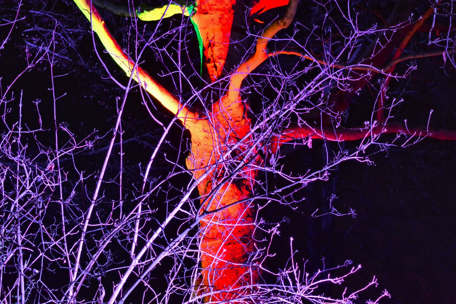 Nikon D5200 sample photo. Illumination, night, light photography