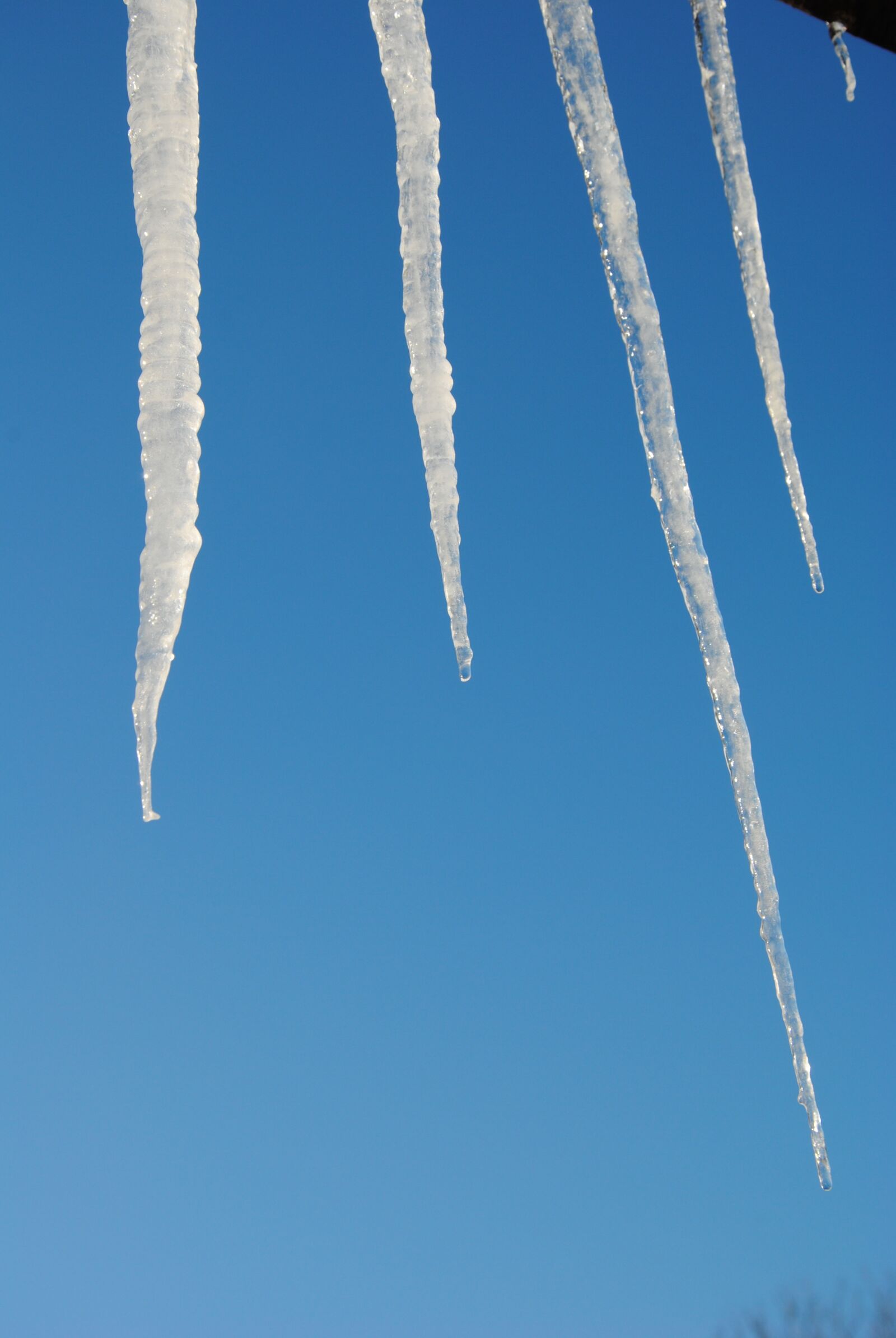 Nikon D3000 sample photo. Winter, ice, cold photography
