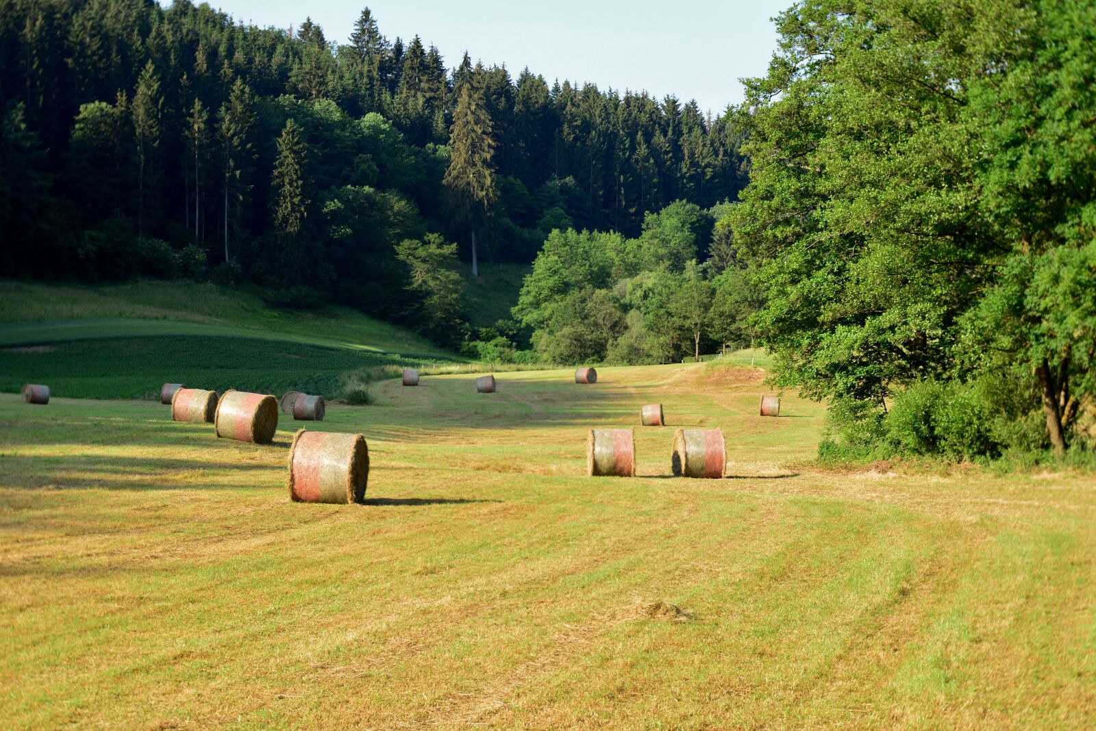 Nikon D600 sample photo. Landscape, hay bales, summer photography