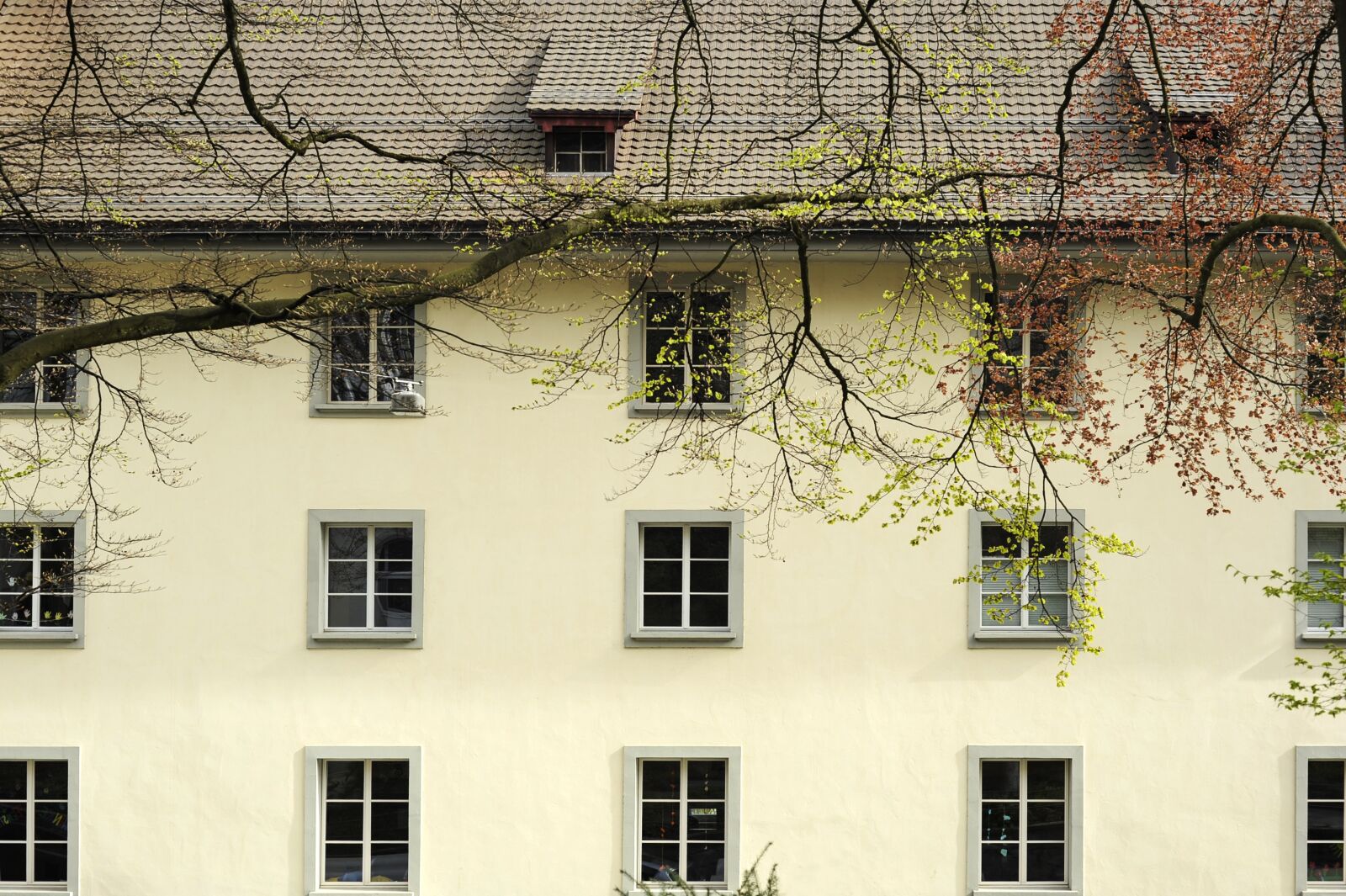 Nikon D700 sample photo. House, window, the roof photography