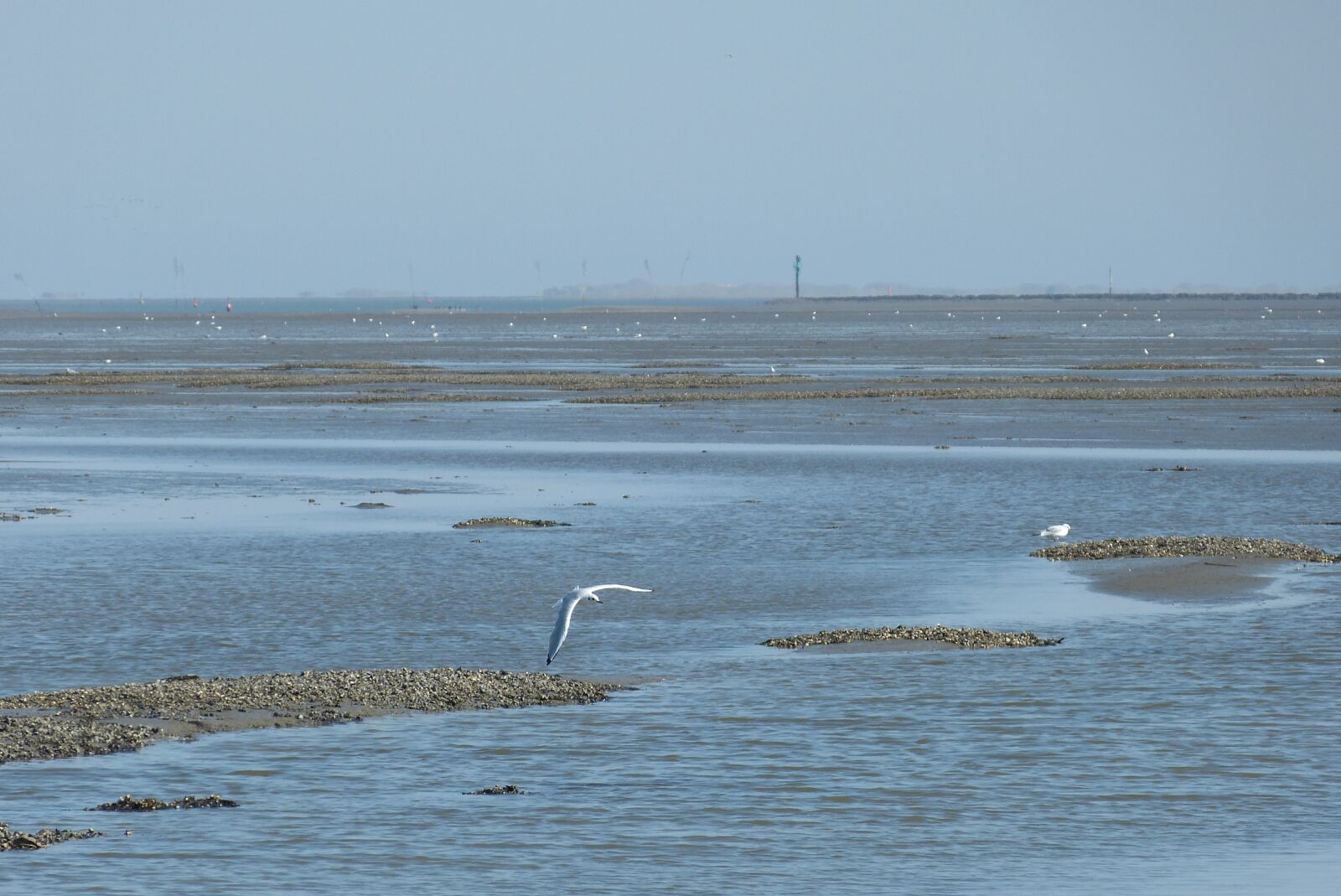 Panasonic Lumix DMC-FZ150 sample photo. Ebb, sea, north sea photography