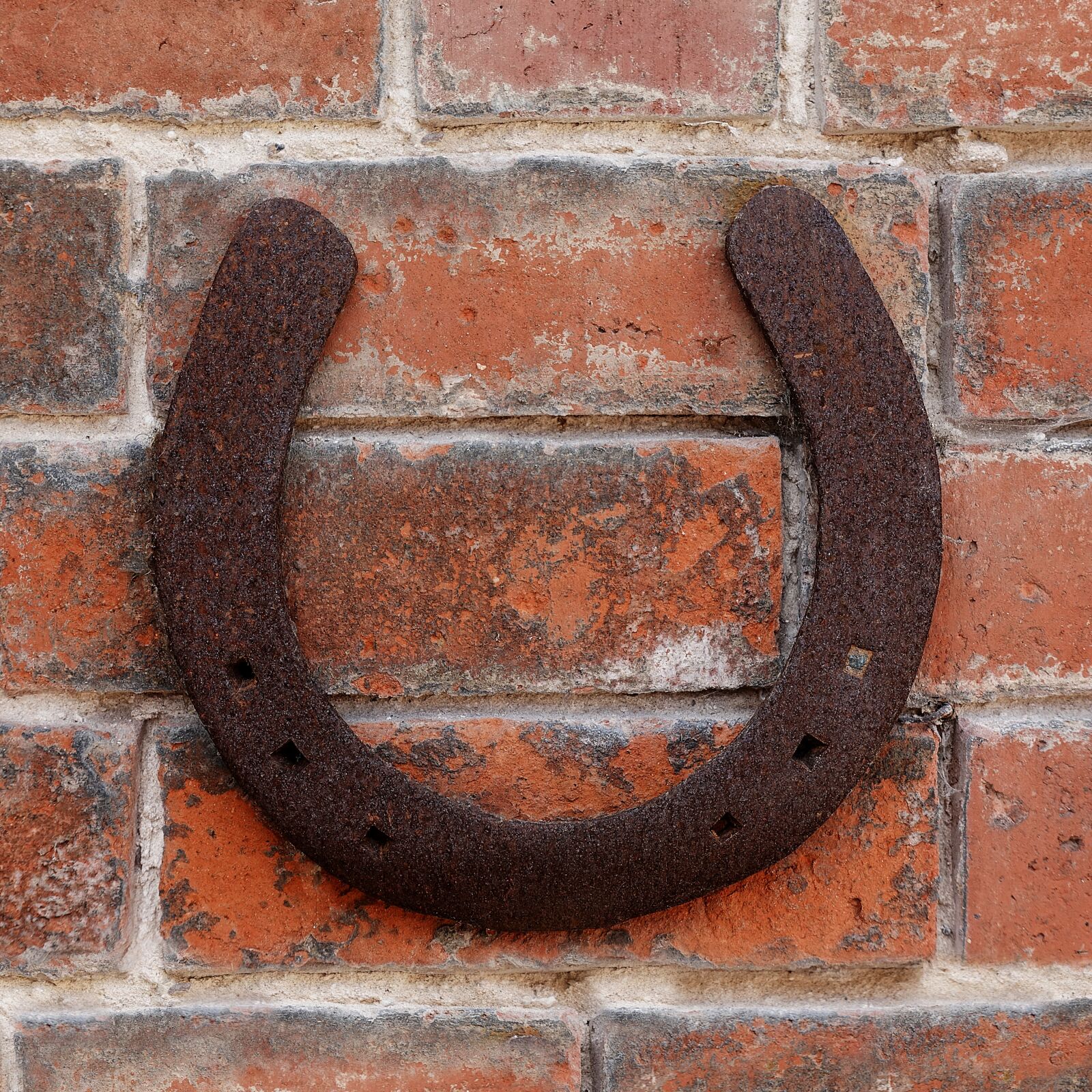 Sony DSC-RX100M5 sample photo. Horseshoe, horse, shoe photography
