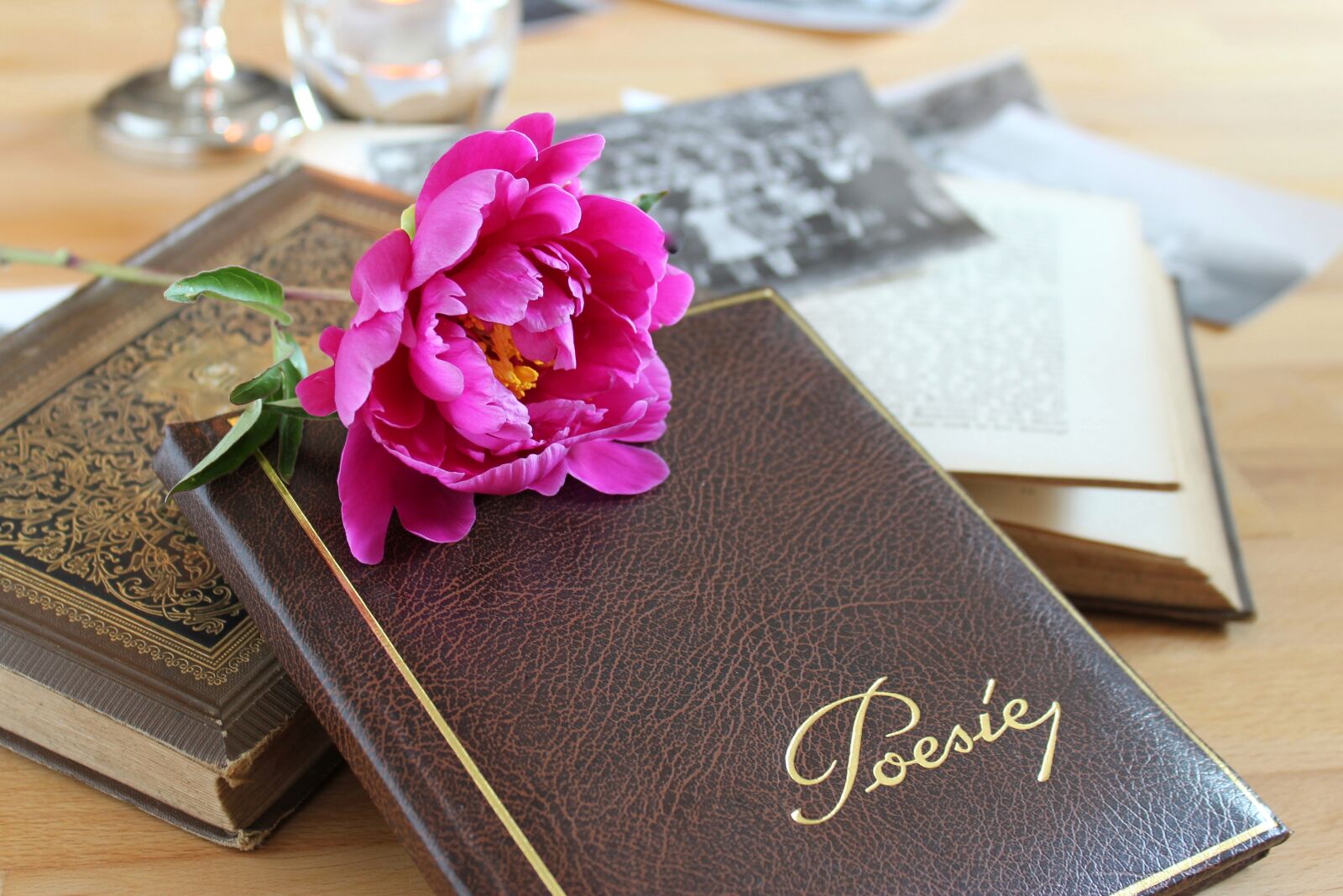 Canon EOS 1300D (EOS Rebel T6 / EOS Kiss X80) sample photo. Poetry album, book, leather photography
