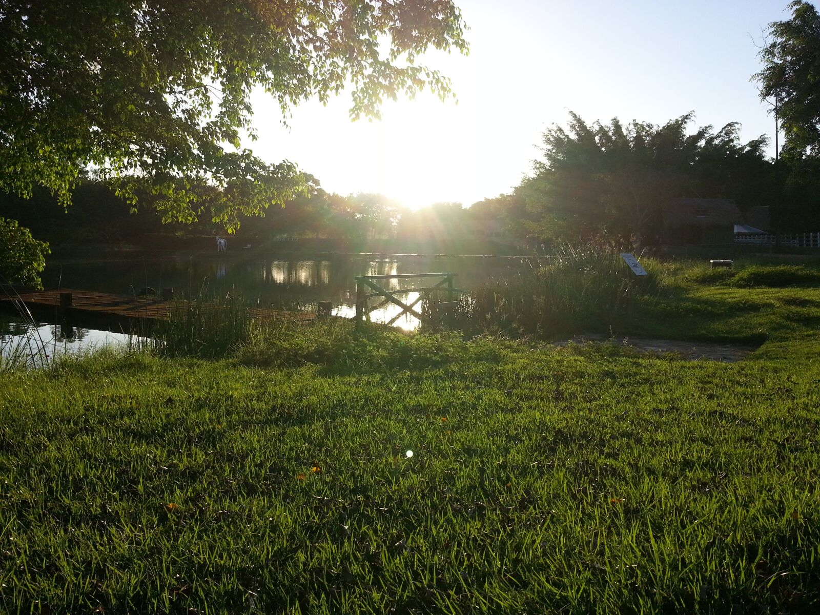Samsung Galaxy Note2 sample photo. Sunset, sol, nature photography