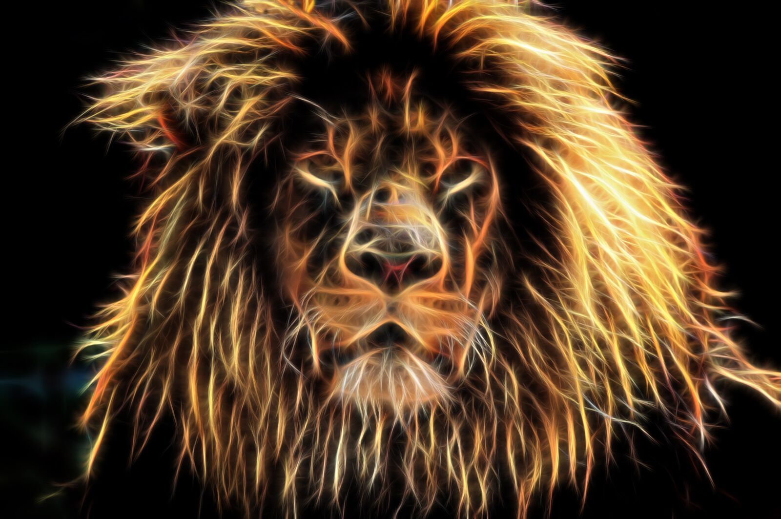 Nikon D90 sample photo. Lion, leo, fractal photography