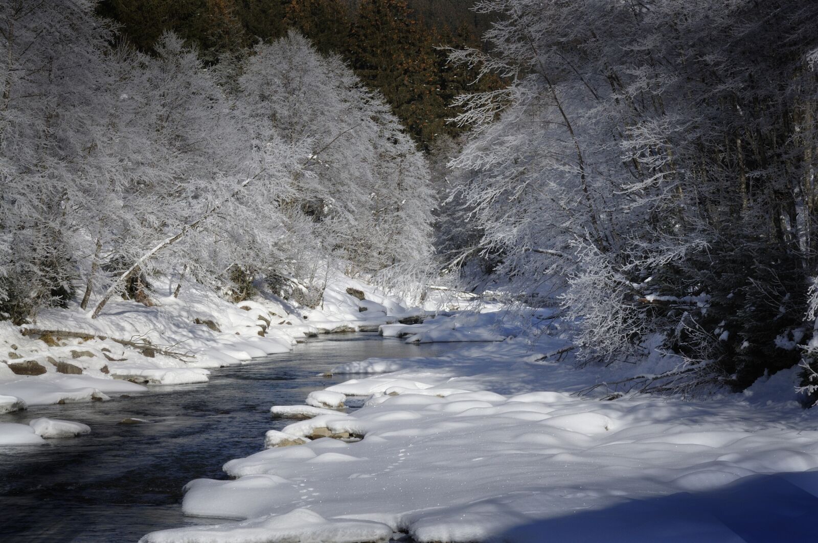 Nikon D90 sample photo. Winter, ripe, landscape photography