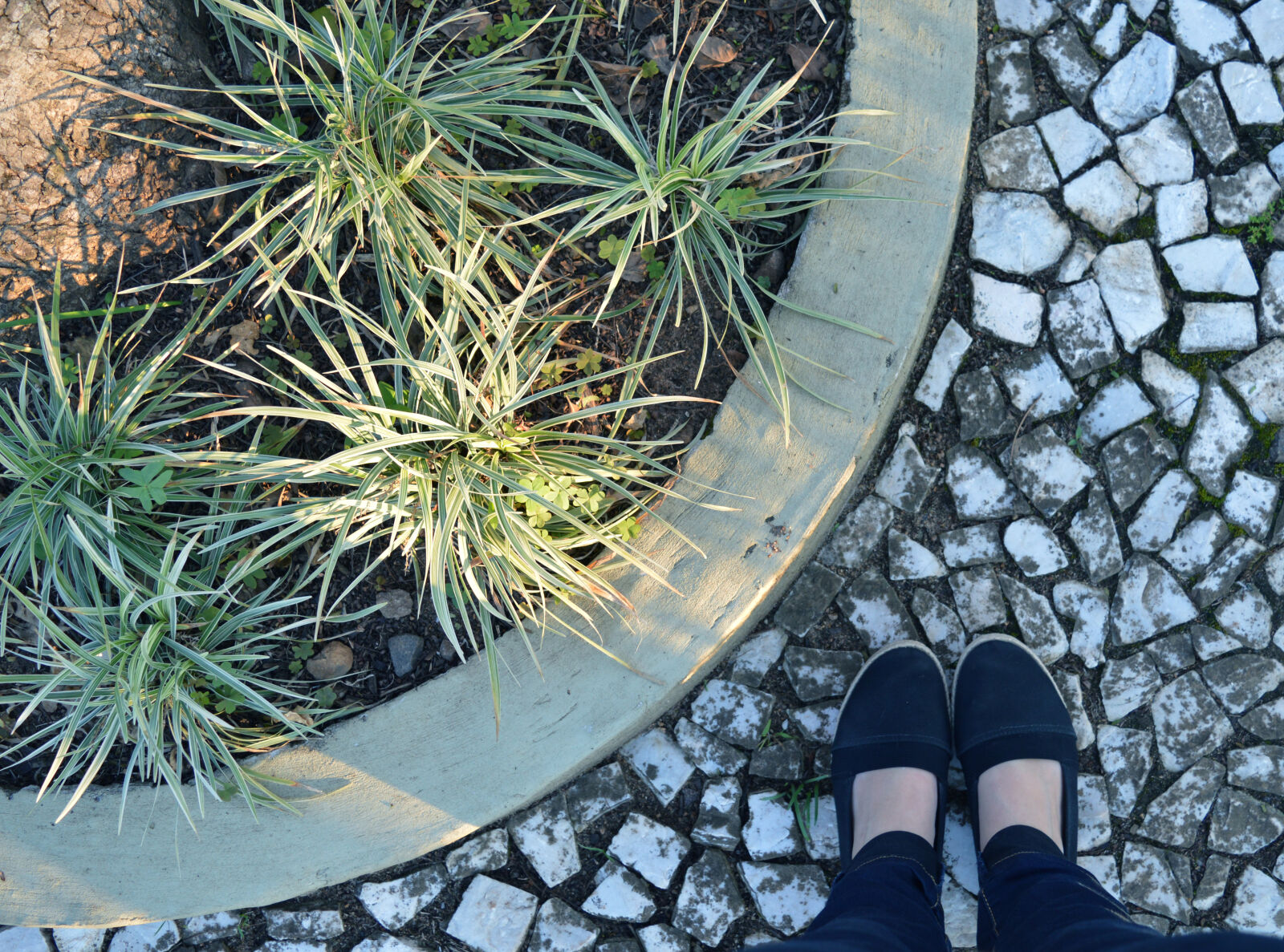 Nikon D3200 sample photo. Feet, girl, plant photography