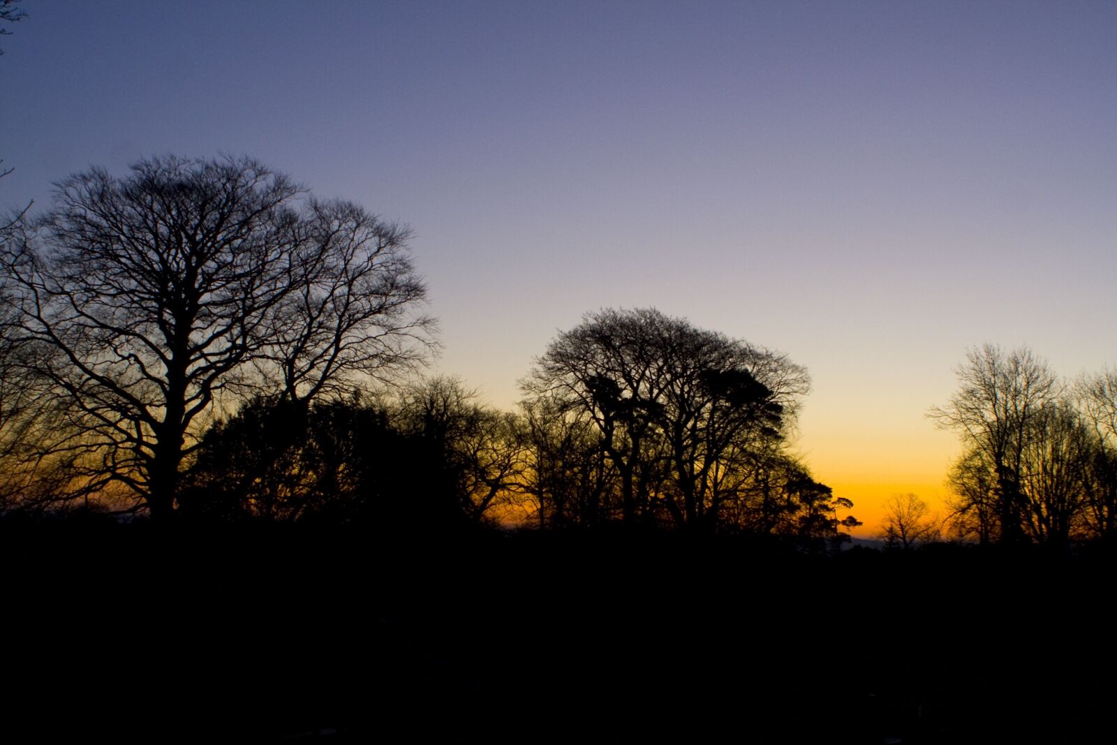 Canon EOS 350D (EOS Digital Rebel XT / EOS Kiss Digital N) sample photo. Sundown, sunset, trees photography