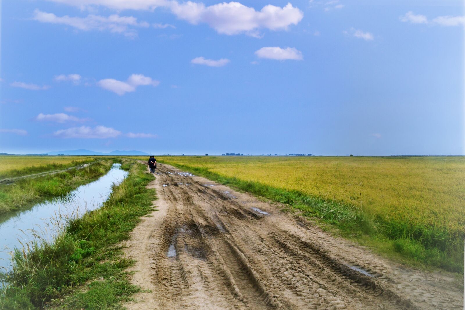 Nikon D3100 sample photo. Nature, landscape, sky photography