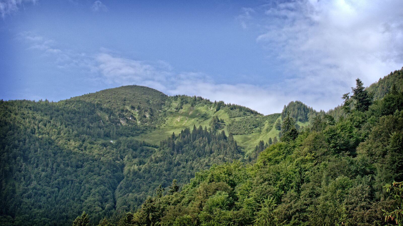 Nikon D7100 sample photo. Landscape, nature, bavaria photography
