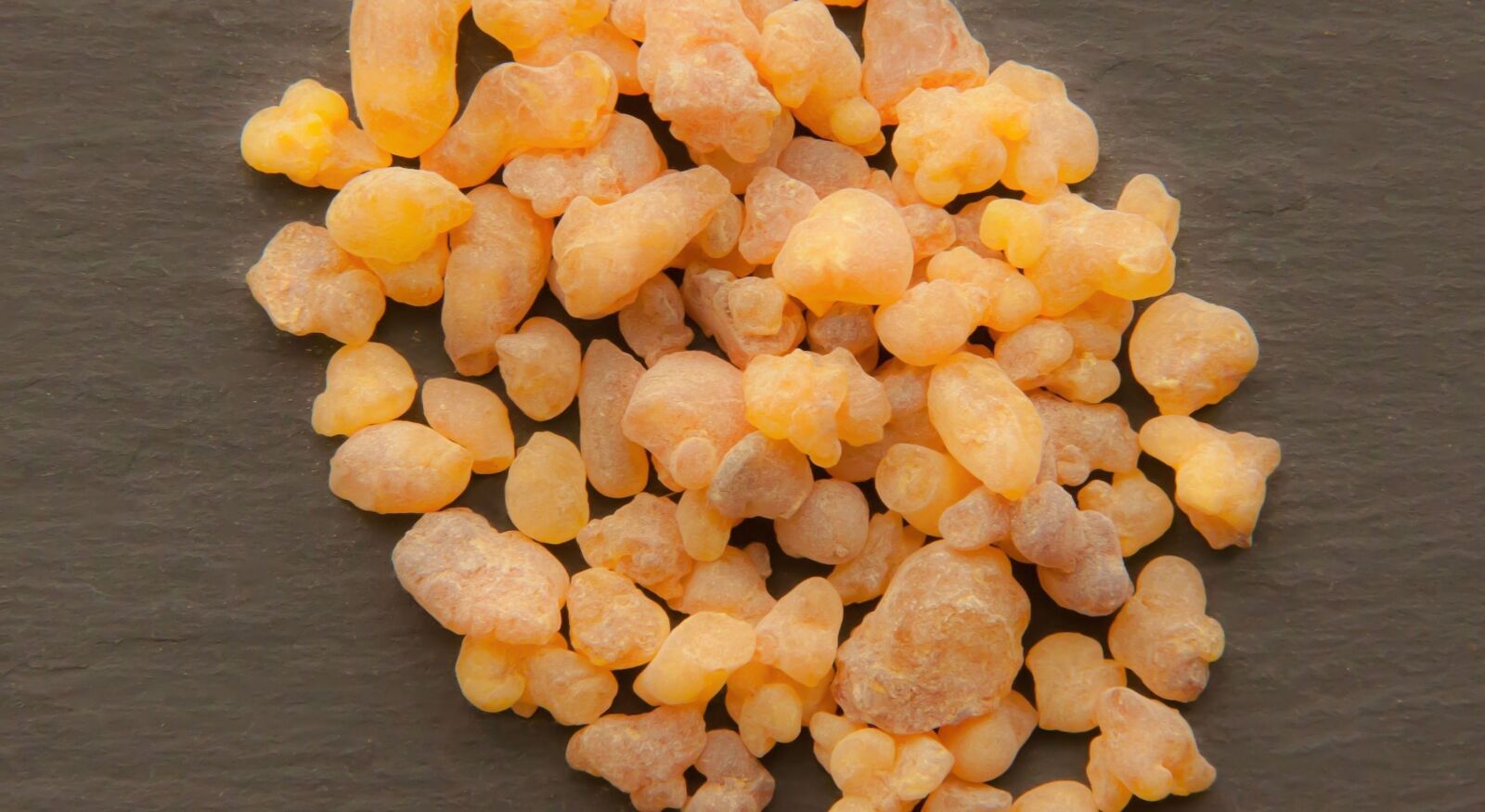 Canon EOS 50D sample photo. Boswellia sacra, oman, frankincense photography