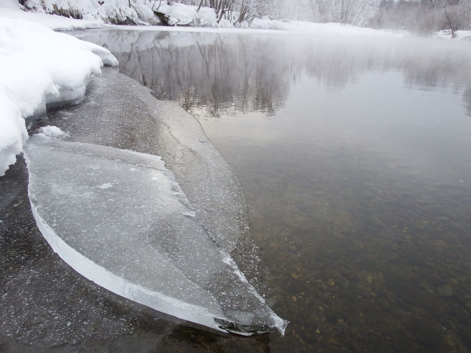 Fujifilm FinePix S1 sample photo. Winter, river, beach photography